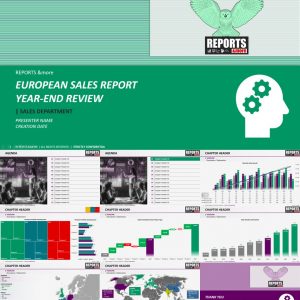 Professional Presentation Template for Multinational Sales Performance
